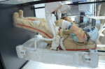 .resize_DSC_4180.JPG