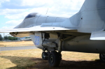 .resize_DSC_4683.JPG