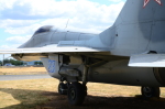 .resize_DSC_4684.JPG