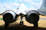.resize_DSC_4694.JPG