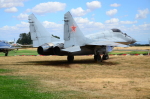 .resize_DSC_4738.JPG