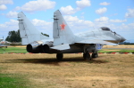 .resize_DSC_4739.JPG