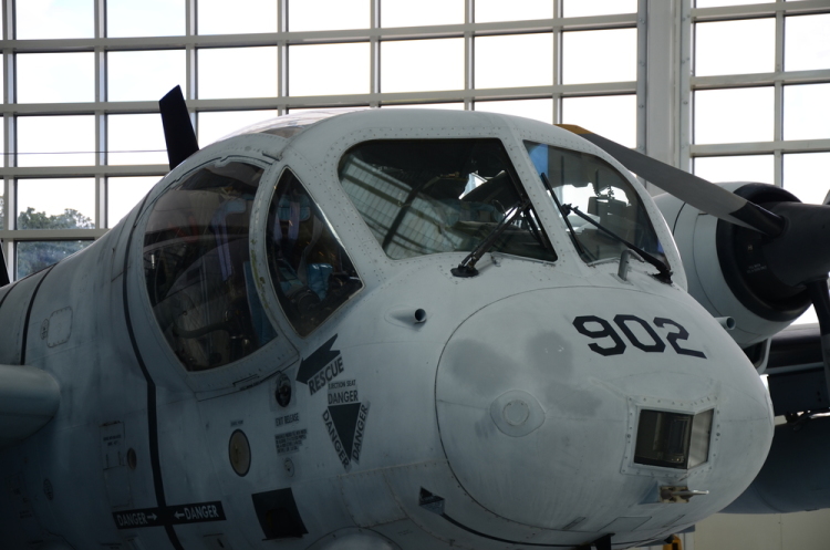 .resize_DSC_4479.JPG