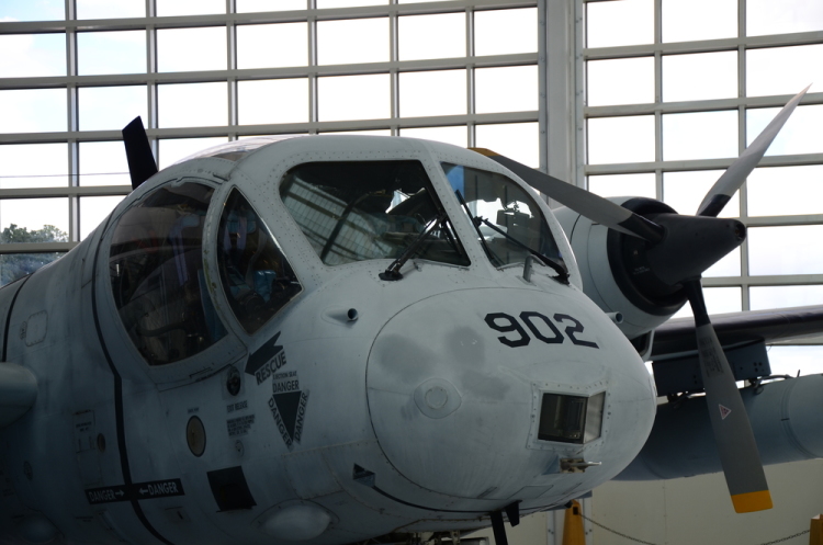 .resize_DSC_4480.JPG