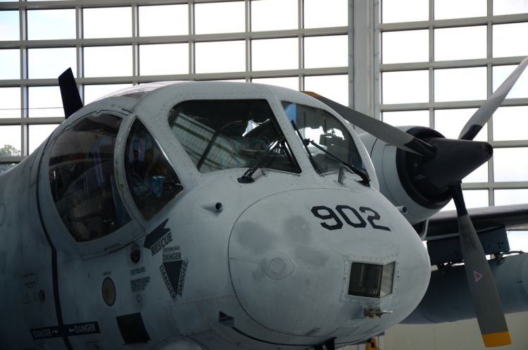 .resize_DSC_4481.JPG