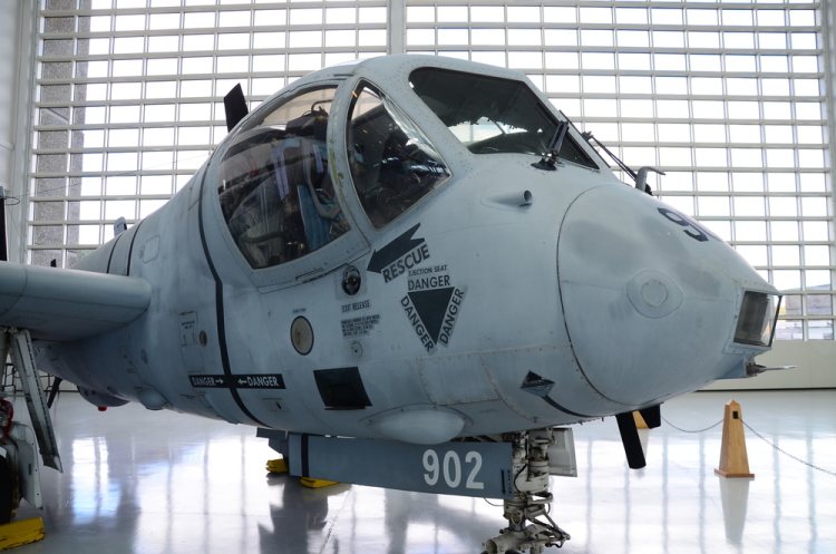 .resize_DSC_4483.JPG