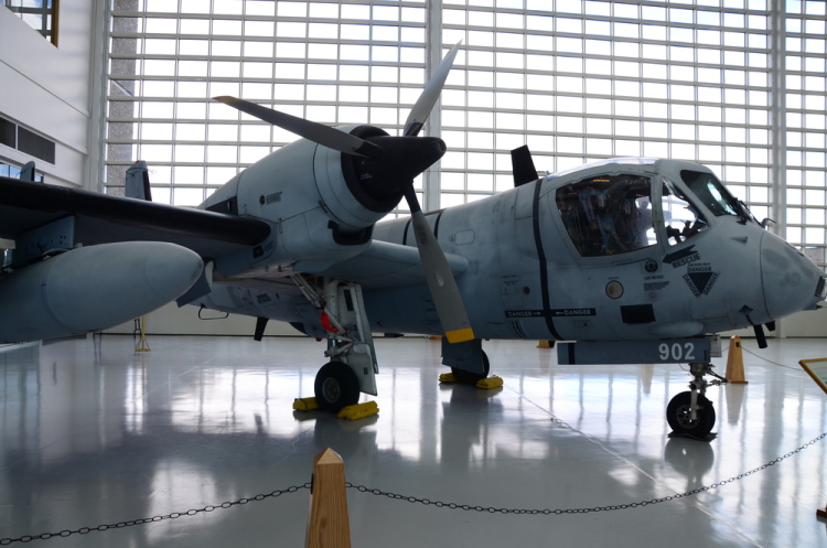.resize_DSC_4486.JPG