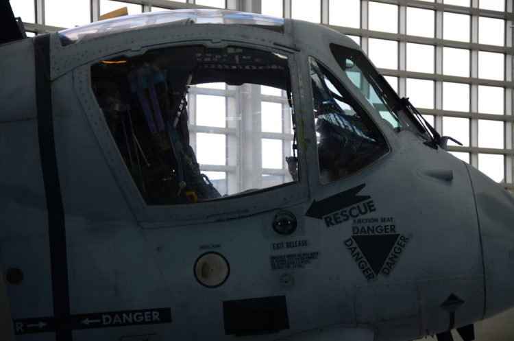 .resize_DSC_4487.JPG