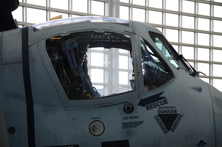 .resize_DSC_4488.JPG