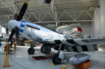 .resize_DSC_3918.JPG