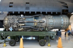 .resize_DSC_4387.JPG