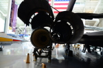 .resize_DSC_4395.JPG