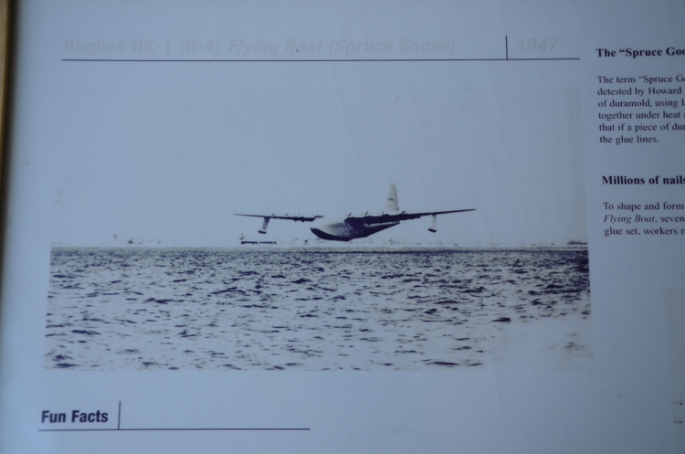 .resize_DSC_3683.JPG