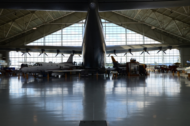 .resize_DSC_3966.JPG