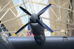 .resize_DSC_3680.JPG