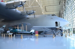 .resize_DSC_3768.JPG
