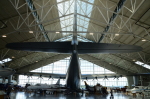 .resize_DSC_3950.JPG