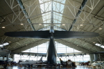 .resize_DSC_3951.JPG