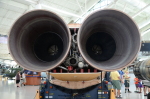 .resize_DSC_4363.JPG
