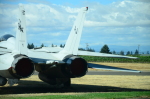 .resize_DSC_3704.JPG