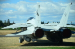 .resize_DSC_3705.JPG