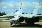 .resize_DSC_3706.JPG