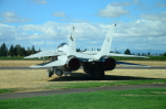 .resize_DSC_3707.JPG