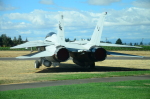 .resize_DSC_3708.JPG