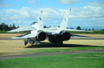 .resize_DSC_3709.JPG