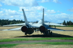 .resize_DSC_3728.JPG