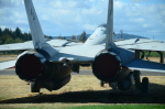 .resize_DSC_3729.JPG