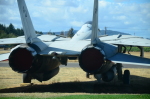 .resize_DSC_3730.JPG