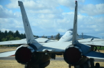 .resize_DSC_3733.JPG