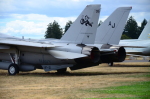.resize_DSC_4671.JPG
