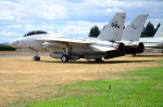 .resize_DSC_4674.JPG