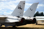 .resize_DSC_4690.JPG