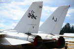 .resize_DSC_4691.JPG