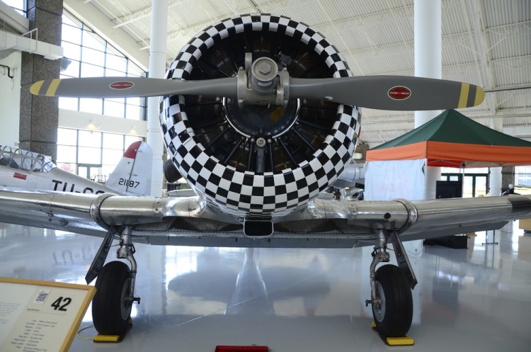 .resize_DSC_4223.JPG