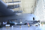 .resize_DSC_3989.JPG