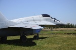 .resize_DSC_4017.jpg