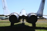 .resize_DSC_4031.jpg