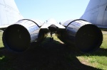 .resize_DSC_4036.jpg