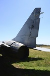 .resize_DSC_4040.jpg