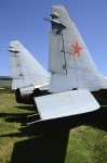 .resize_DSC_4043.jpg