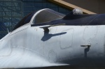 .resize_DSC_4050.jpg