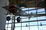 .resize_DSC_4290.jpg