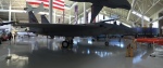 .resize_IMG_2734.JPG