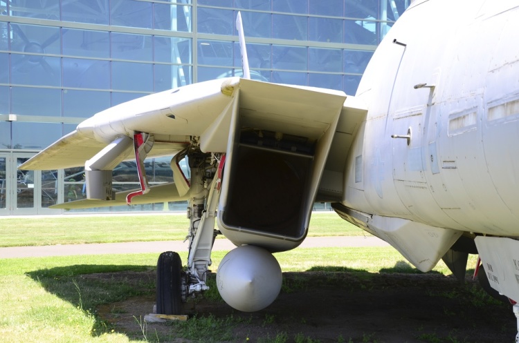 .resize_DSC_4065.jpg