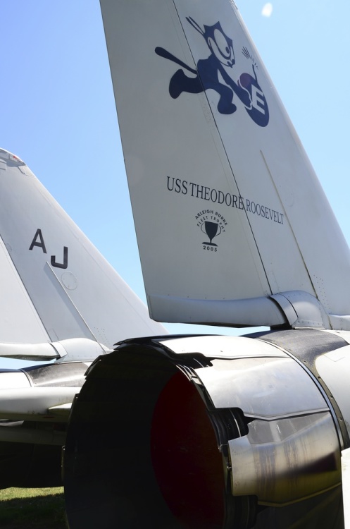 .resize_DSC_4085.jpg