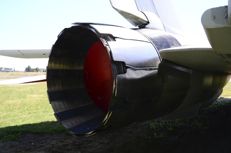 .resize_DSC_4088.jpg